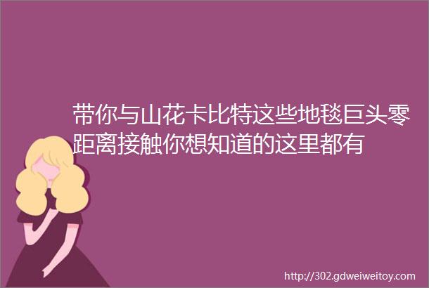 带你与山花卡比特这些地毯巨头零距离接触你想知道的这里都有